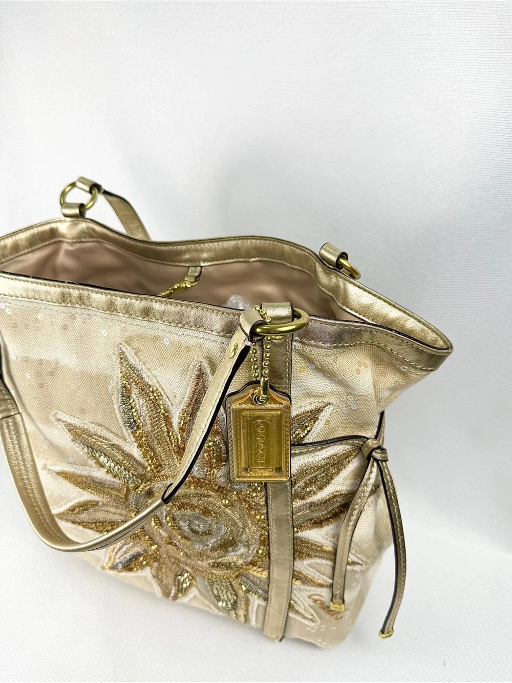 Coach Audrey Sun Limited Edition Shoulder Bag (19577)